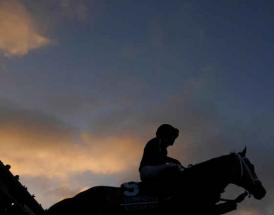 Apuestas mutuas caballos