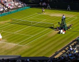 Pronosticos para Wimbledon