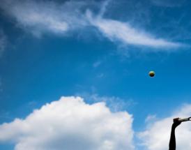 Ranking protegido tenis