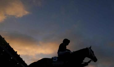 Apuestas mutuas caballos